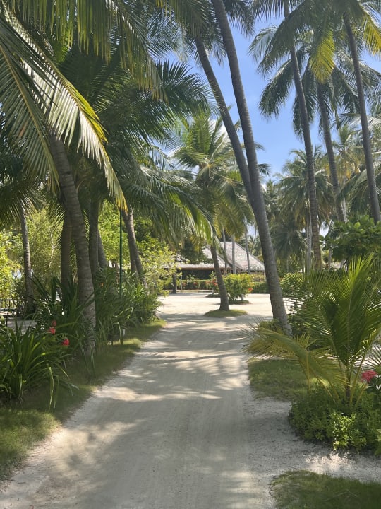 Gartenanlage Meeru Maldives Resort Island
