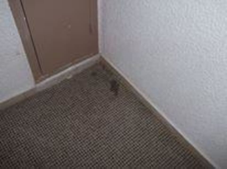 Überall Flecken in den Fluren Riadh Palms Resort & Spa