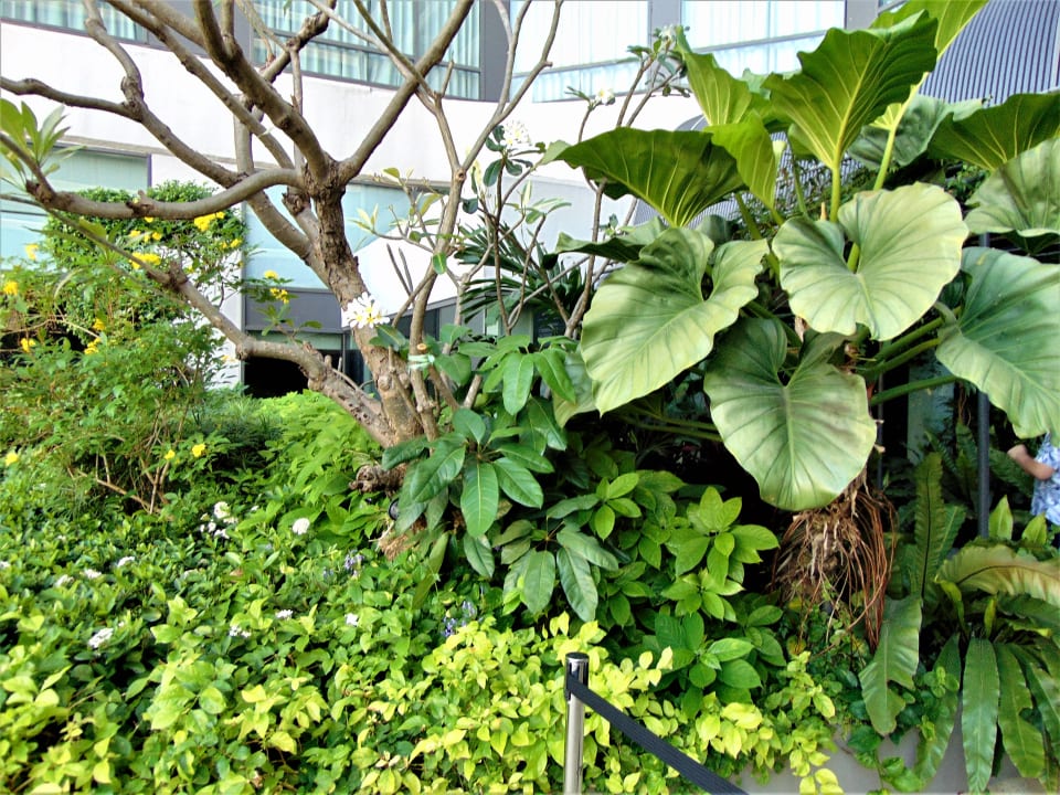 Gartenanlage Bangkok Marriott Marquis Queen's Park