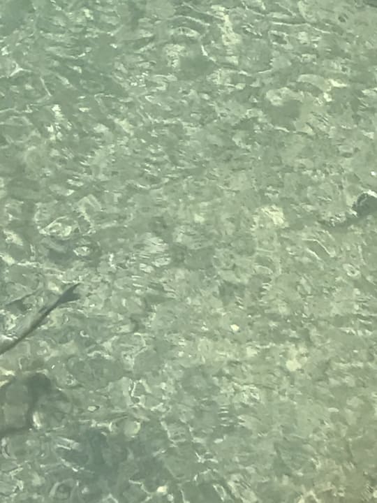 Strand Elba Carlota Beach & Golf Resort