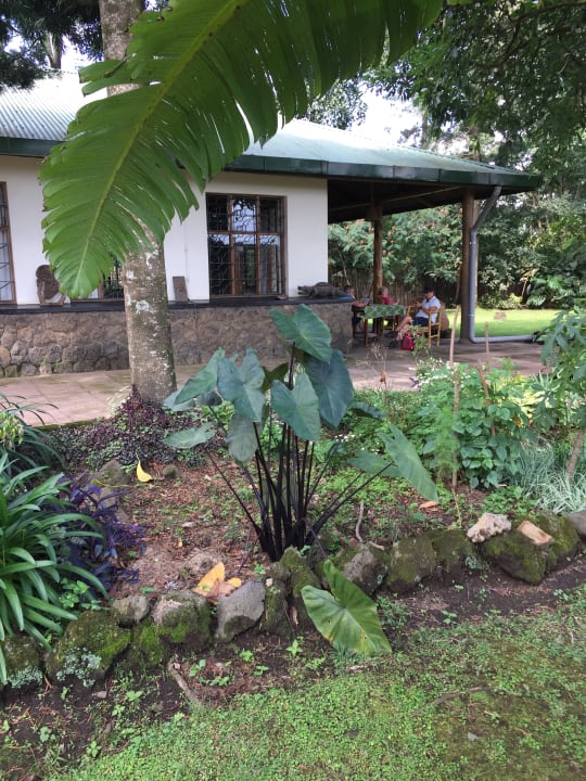 Gartenanlage Traveler`s Rest Hotel