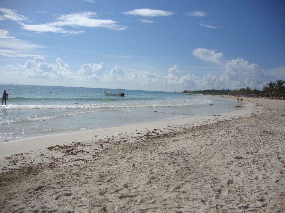 Hotel Catalonia Playa Maroma Catalonia Playa Maroma