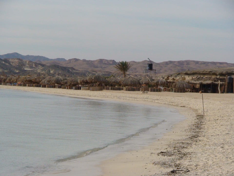 Man kann lange Strandspaziergänge machen Malikia Resort Abu Dabbab