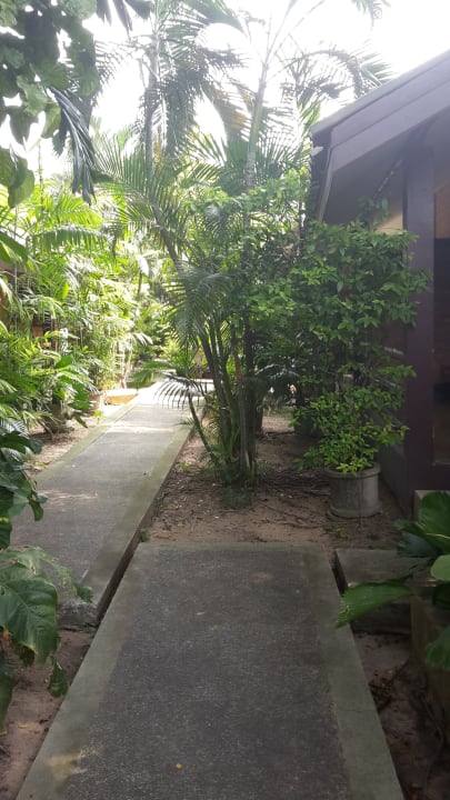 Gartenanlage Hotel The Cottage