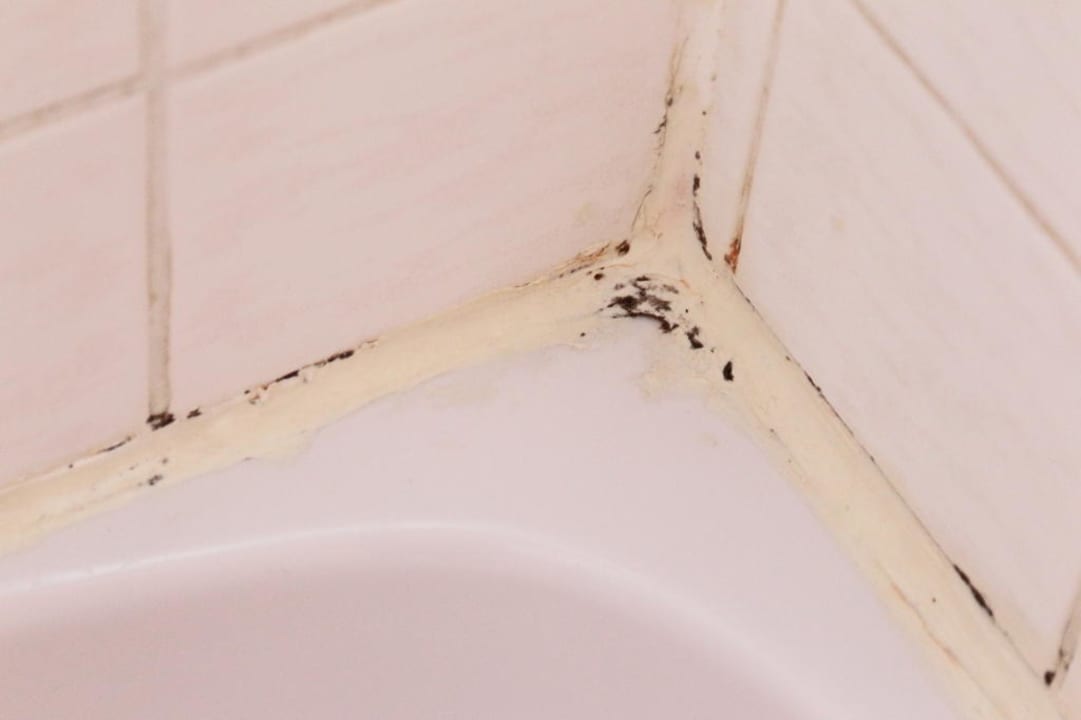 Schimmel im Bad Hotel Astel