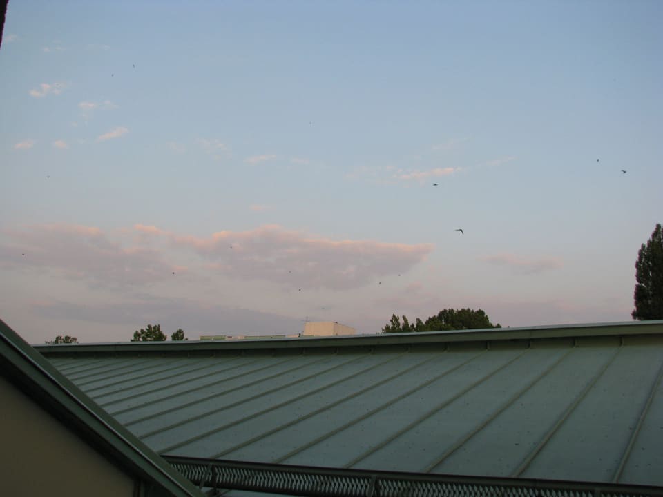 Hotel Europa Fit Hotel Europa Fit Superior Hévíz