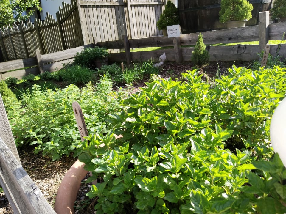 Gartenanlage Hotel DIE SONNE