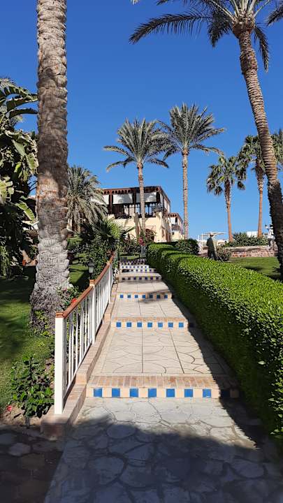 Gartenanlage Steigenberger Coraya Beach - Adults only