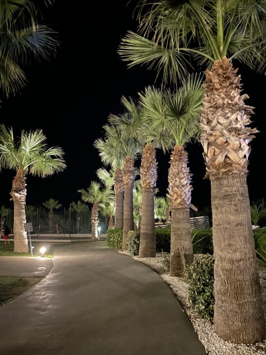 Gartenanlage Rodos Princess Beach Hotel & Spa