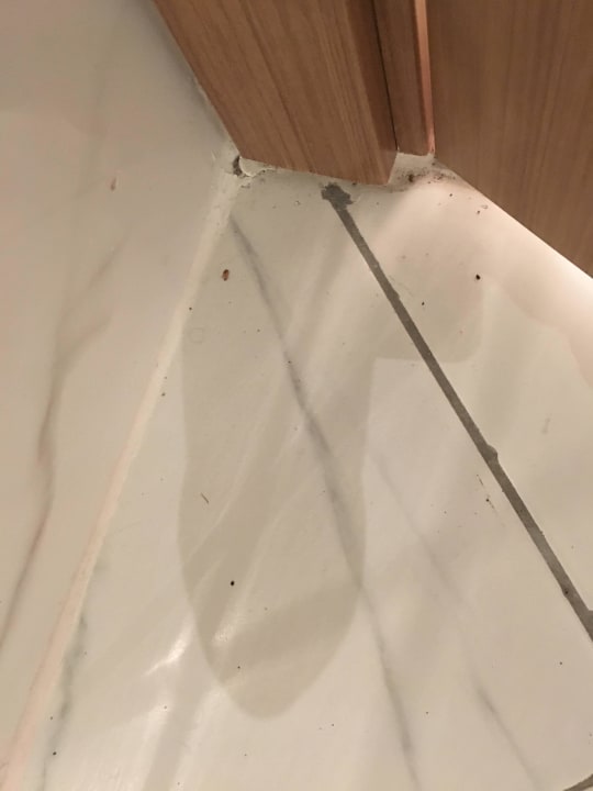 Die Haare von dem Vorgänger im Bad bis zu Abreise Wyndham Garden Lara