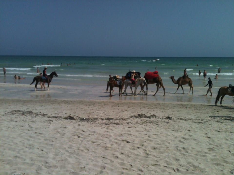 Paradies  Djerba Aqua Resort
