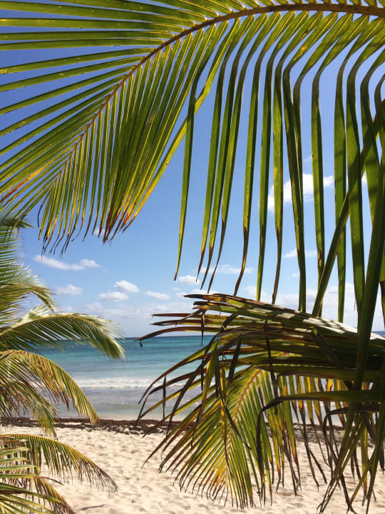 Strand TRS Yucatan Hotel - Adults only