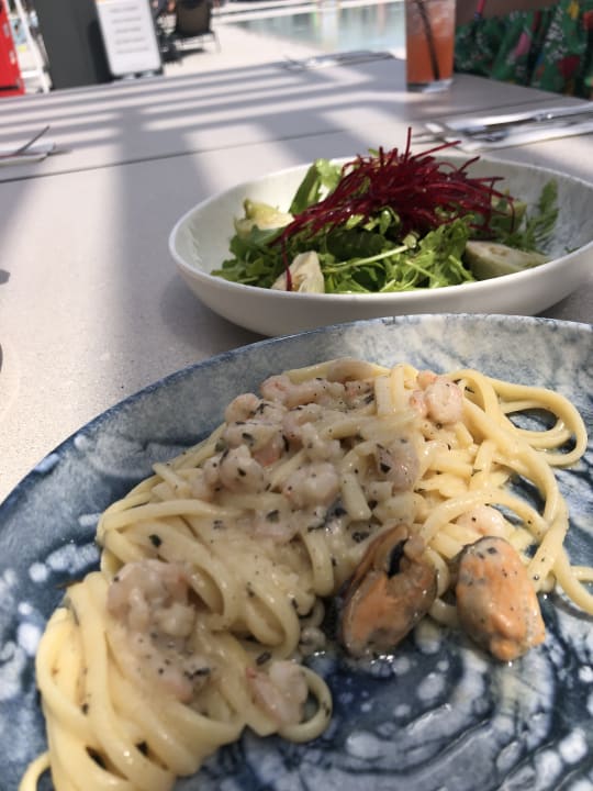 Gastro Paloma Finesse