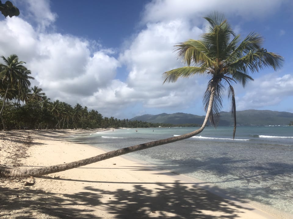 Strand Wyndham Alltra Samana
