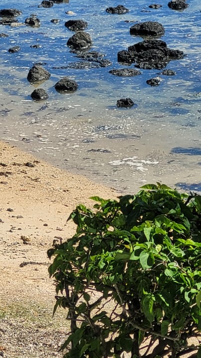 Strand Veranda Paul & Virginie Hotel & Spa - Adults only