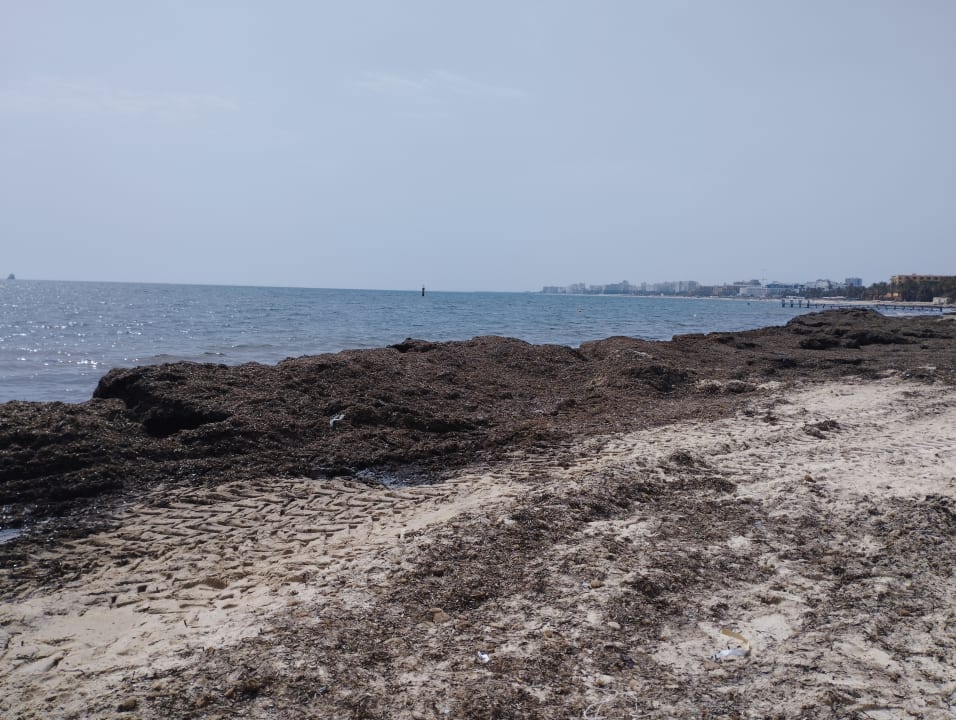 Strand Marhaba Royal Salem