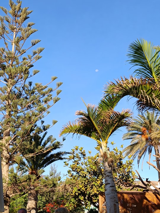 Gartenanlage allsun App.-Hotel Esquinzo Beach