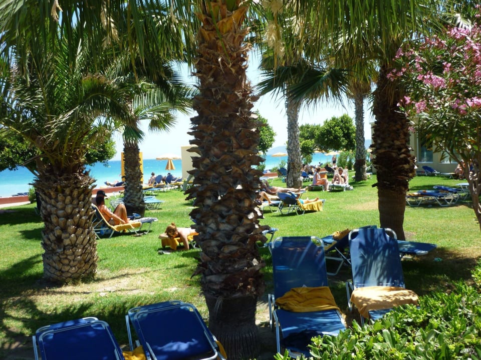 Garten Sunshine Rhodes
