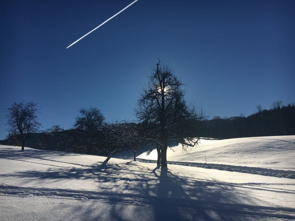 Ausblick Bergbauernhof Klein Schöntal