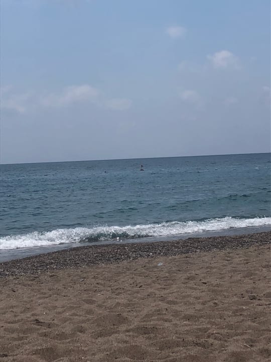 Meer Arycanda Kirman Premium