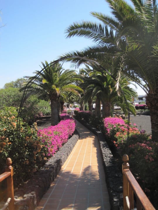 Gang durch den Garten Relaxia Olivina