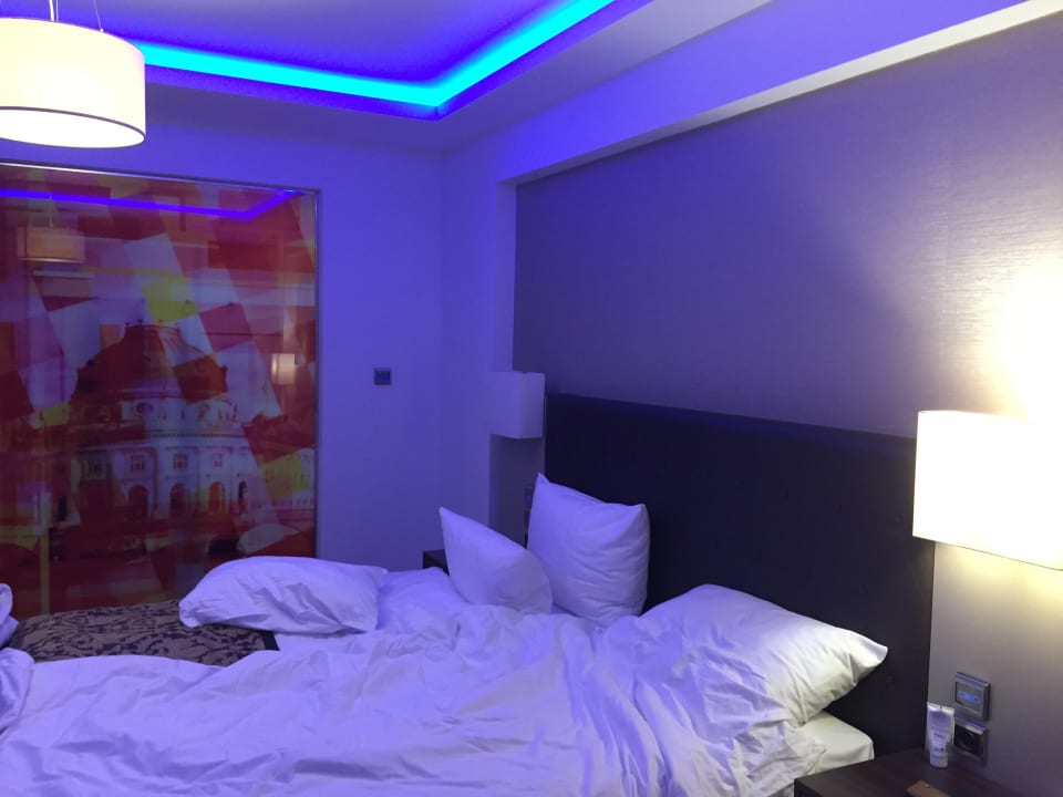 Zimmer Homaris West Side