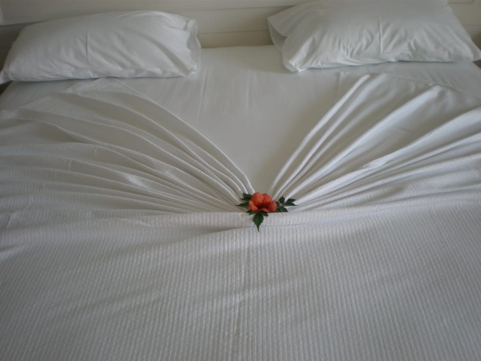 Liebevolle Deko Sentido Trendy Verbena Beach