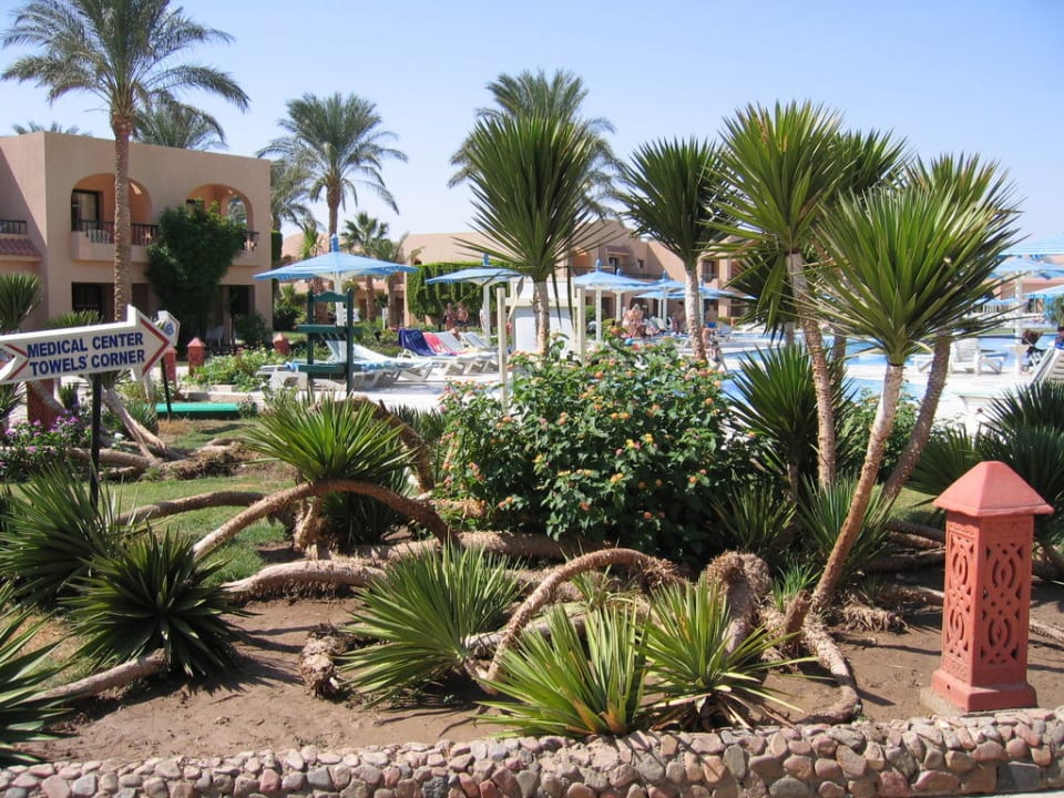 Palmen Ali Baba Palace Hotel