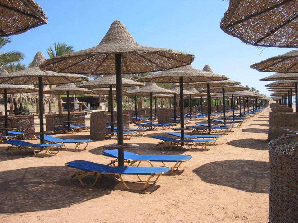 Coraya Beach Steigenberger Coraya Beach - Adults only