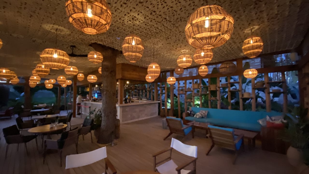 Gastro Arum Barut Collection