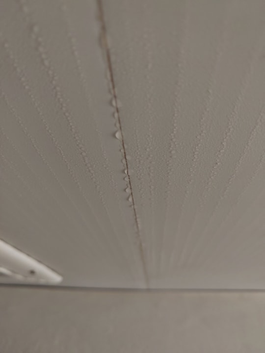 Zimmer Punta Cana Princess All Suites Resort & Spa