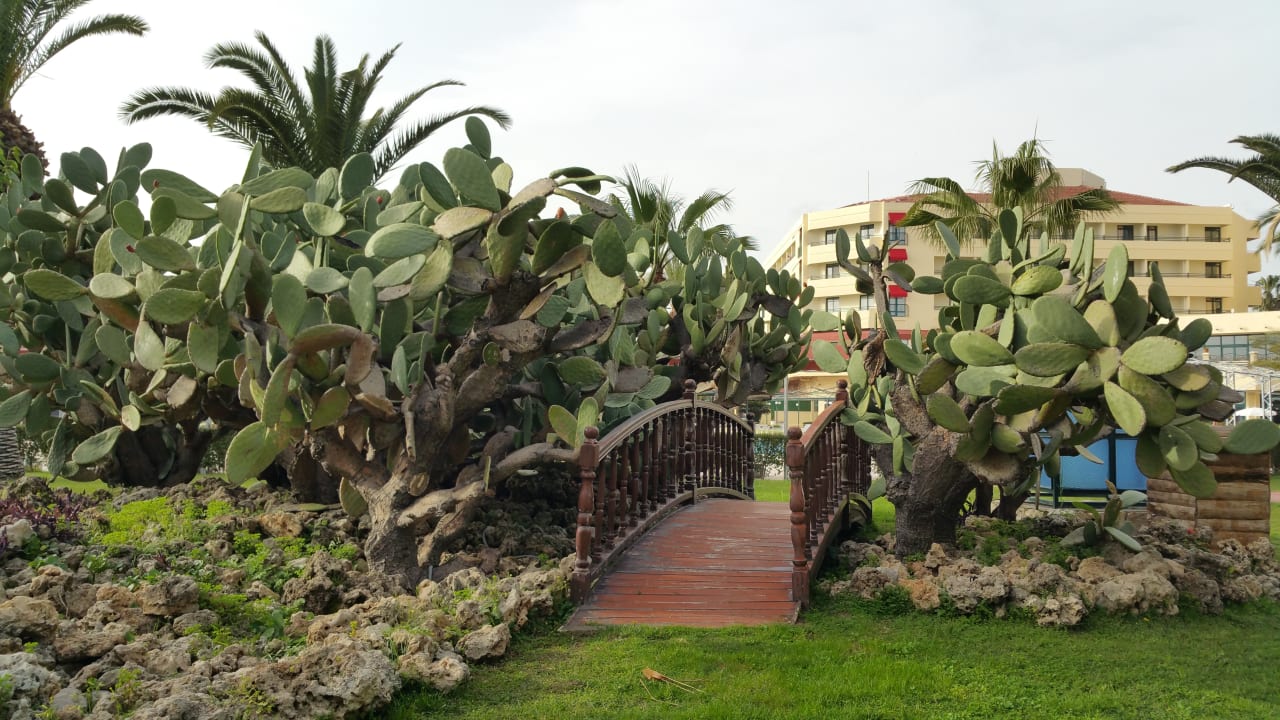 Garten Hotel Miramare Beach