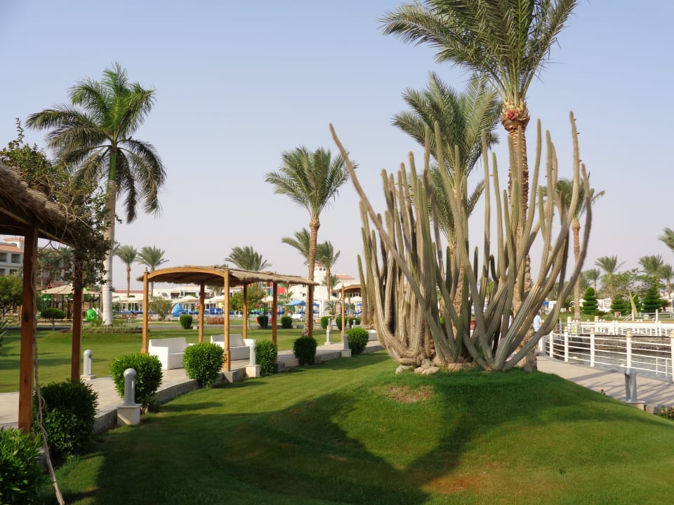 Gartenanlage Pickalbatros Dana Beach Resort - Hurghada