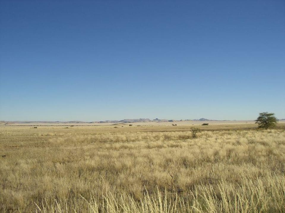 Blick von der Terrasse Namib Naukluft Lodge