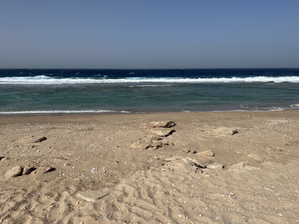 Strand Steigenberger Resort Alaya Marsa Alam - Red Sea - Adults only