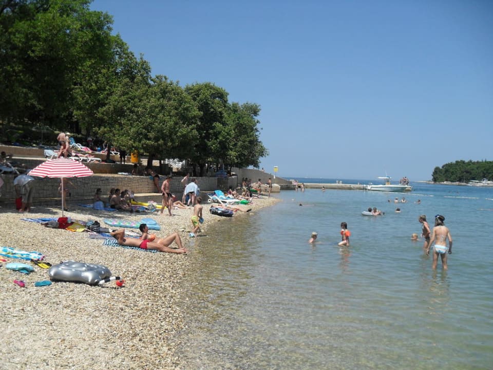 Strand am Hotel (150 m) Hotel Albatros Plava Laguna