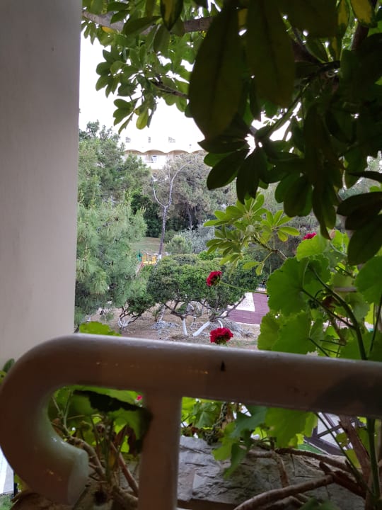Von der Terrasse beim Essen Hotel Kalithea Mare Palace