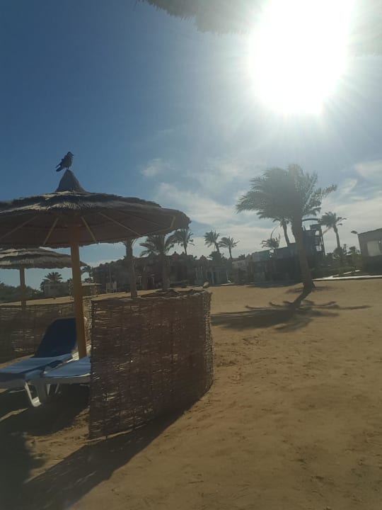 Blick vom Strand zum Hotel Titanic Beach Spa & Aqua Park