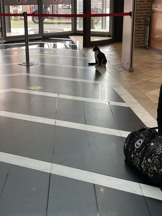 Lobby Limak Limra Hotel & Resort