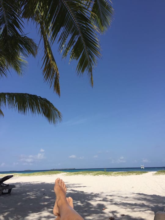 Liegen vor dem eigenen Beach Bungalow Kuredu Island Resort & Spa