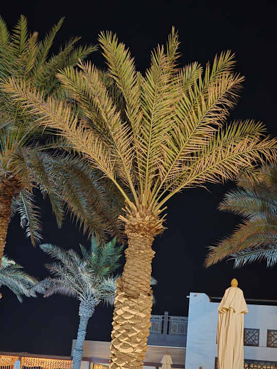 Gartenanlage Ajman Saray, a Luxury Collection Resort