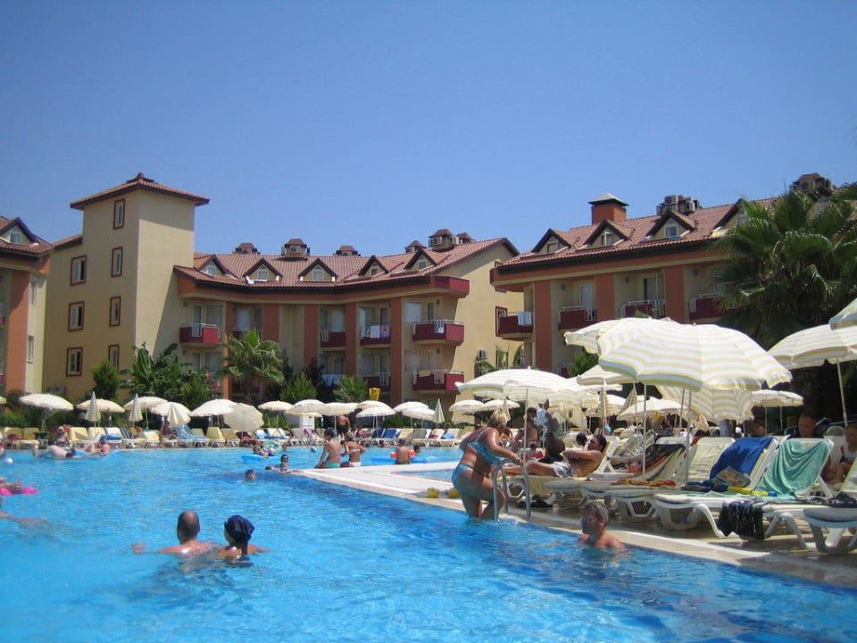 Blick vom Pool - Bild 3 Hotel Orfeus Park