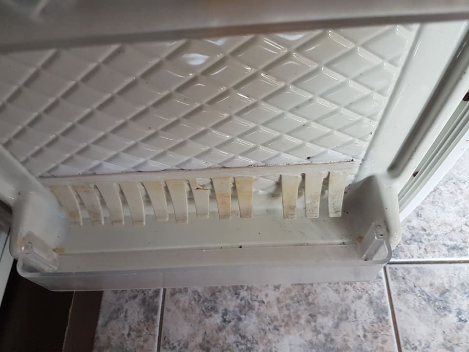 Zimmer Party Hotel Golden Sands - Adults only