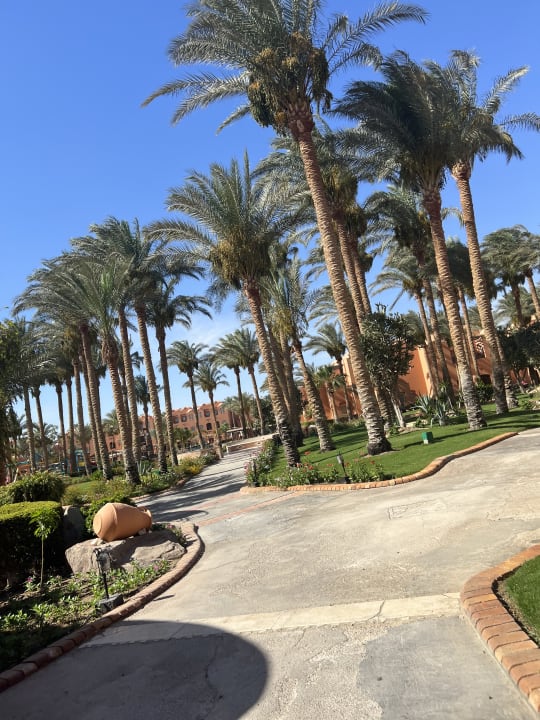 Gartenanlage Jaz Makadi Oasis Resort