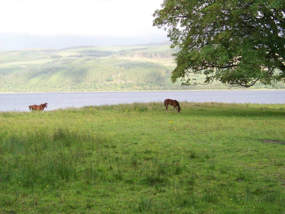 Blick vom Castle Minard Castle B&B