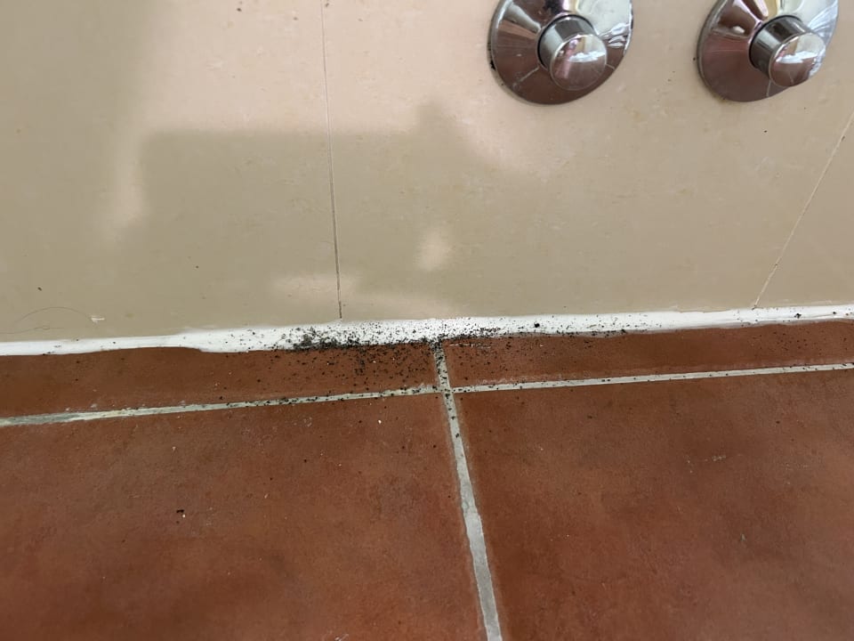 Zimmer Valamar Tamaris Hotel