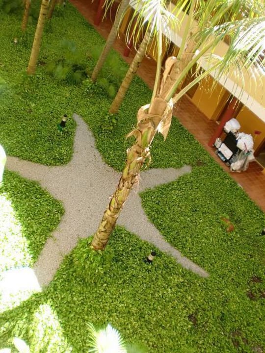 Iberostar Stern  Iberostar Waves Punta Cana