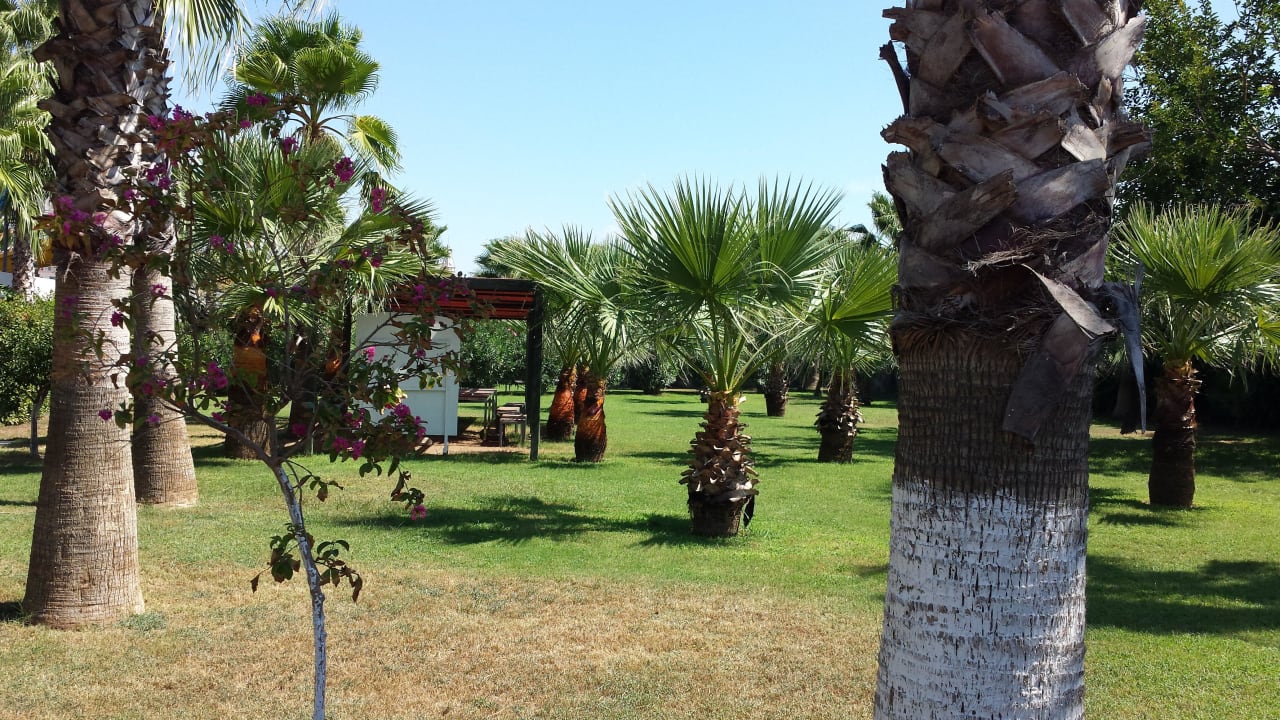 Palmengarten Hane Family Resort