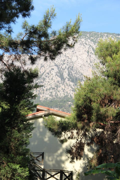 Berge Crystal Flora Beach Resort