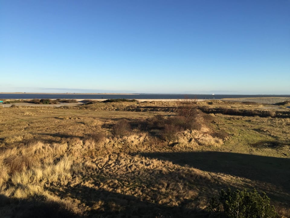 Ausblick aus dem Wohnzimmer! Ferienwohnungen Biike Hüs